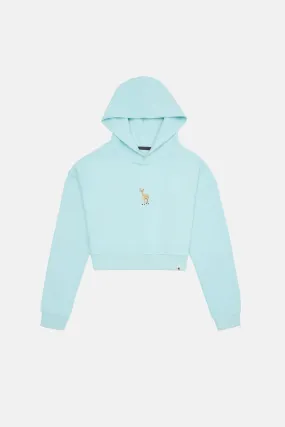 Ceylan Super Soft Crop Hoodie - Mint Mavi