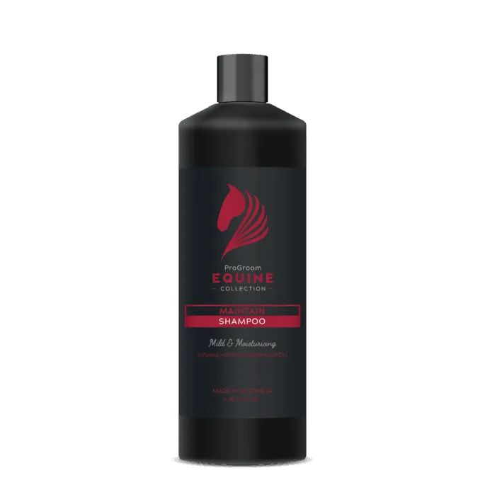 Pro Groom Maintain Shampoo